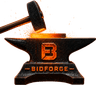BidForge